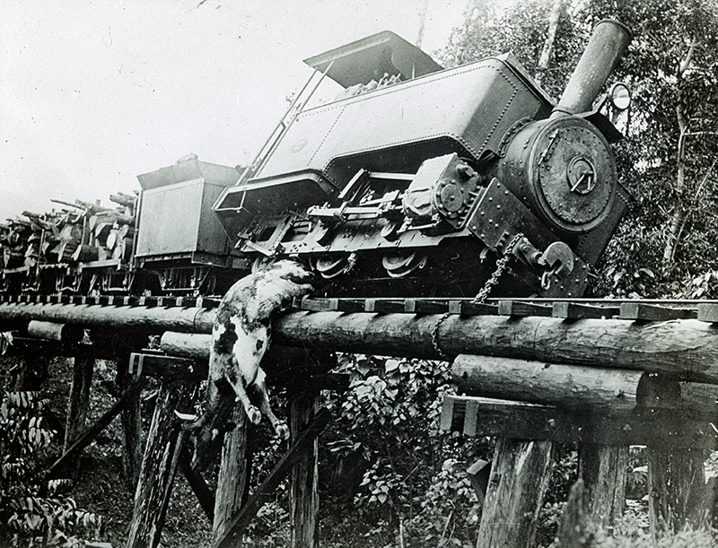 41 - (Illegible - cow under train), QLD.jpg - 41 - (Illegible - cow under train), QLD